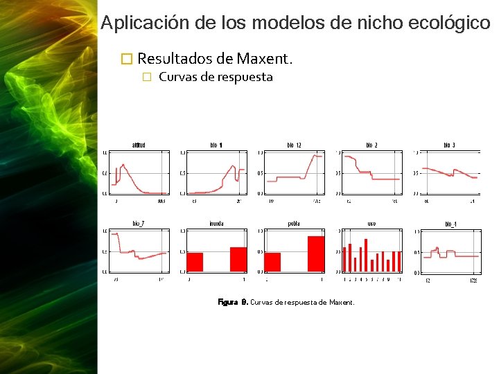 Aplicación de los modelos de nicho ecológico � Resultados de Maxent. � Curvas de