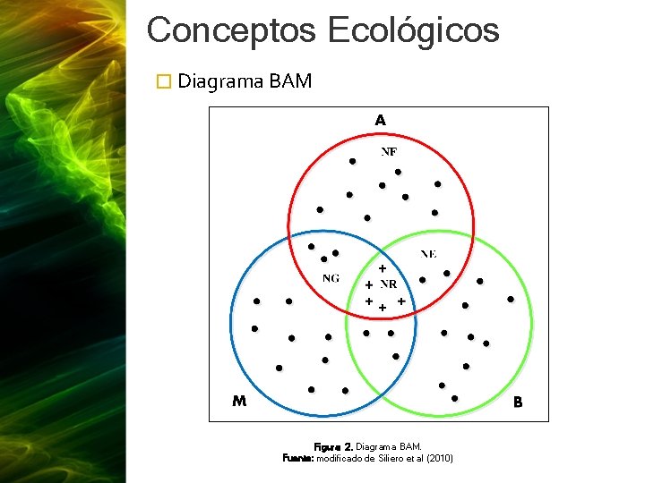 Conceptos Ecológicos � Diagrama BAM Figura 2. Diagrama BAM. Fuente: modificado de Siliero et