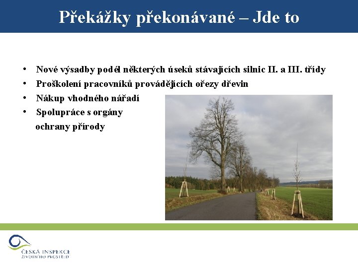 Překážky překonávané – Jde to • • Nové výsadby podél některých úseků stávajících silnic