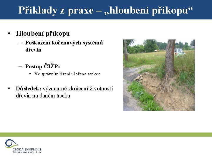 Příklady z praxe – „hloubení příkopu“ • Hloubení příkopu – Poškození kořenových systémů dřevin