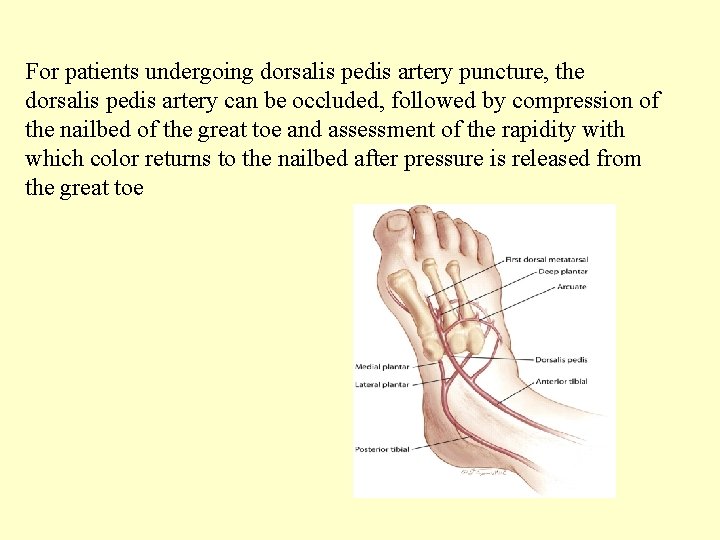 For patients undergoing dorsalis pedis artery puncture, the dorsalis pedis artery can be occluded,