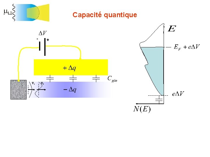 Capacité quantique - Y 1 + Y 2 