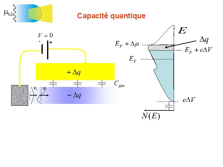 Capacité quantique - Y 1 + Y 2 