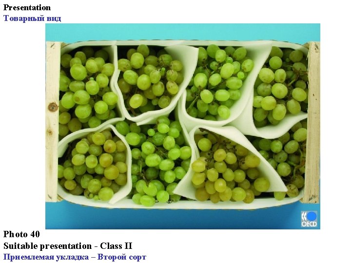 Presentation Товарный вид Photo 40 Suitable presentation - Class II Приемлемая укладка – Второй