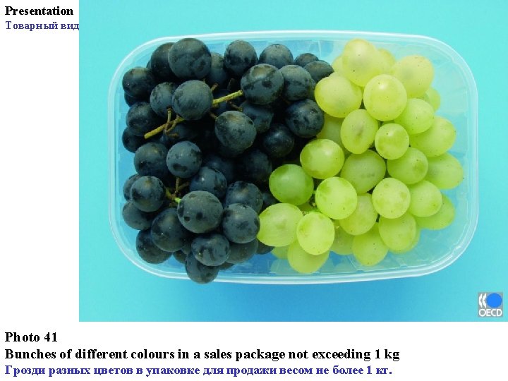 Presentation Товарный вид Photo 41 Bunches of different colours in a sales package not