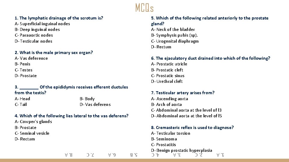 MCQs 1. The lymphatic drainage of the scrotum is? A- Superficial inguinal nodes B-