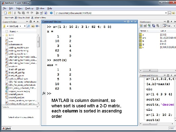 MATLAB is column dominant, so when sort is used with a 2 -D matrix,
