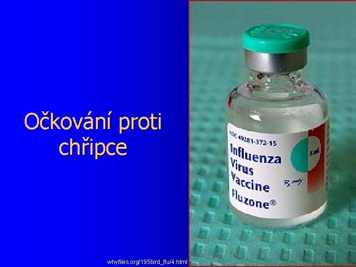 Očkování proti chřipce whyfiles. org/195 bird_flu/4. html 