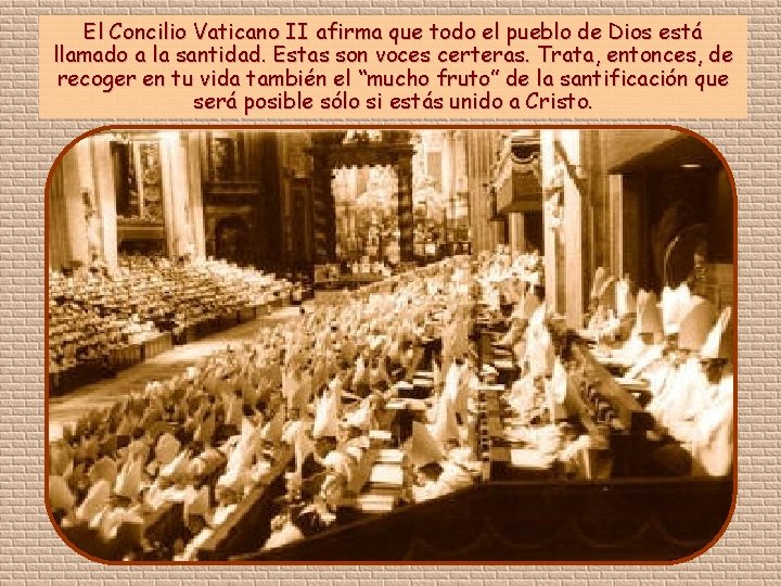 El Concilio Vaticano II afirma que todo el pueblo de Dios está llamado a