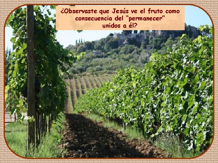 ¿Observaste que Jesús ve el fruto como consecuencia del “permanecer” unidos a él? 