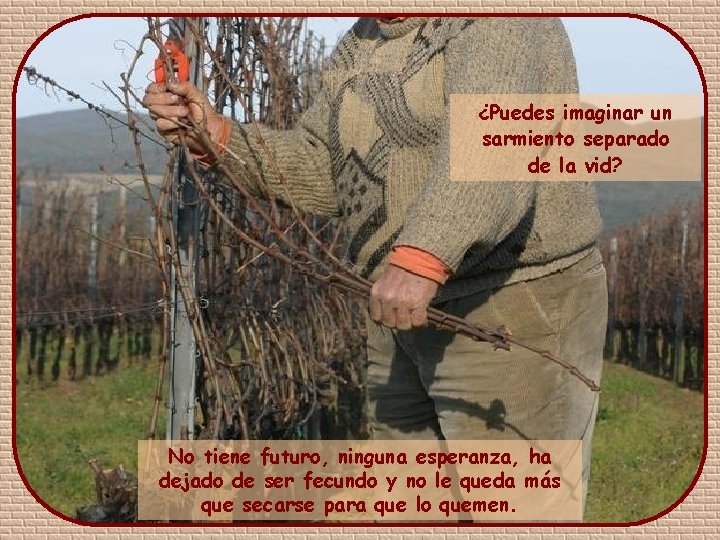 ¿Puedes imaginar un sarmiento separado de la vid? No tiene futuro, ninguna esperanza, ha