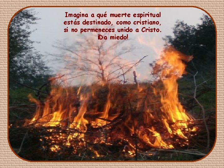 Imagina a qué muerte espiritual estás destinado, como cristiano, si no permeneces unido a