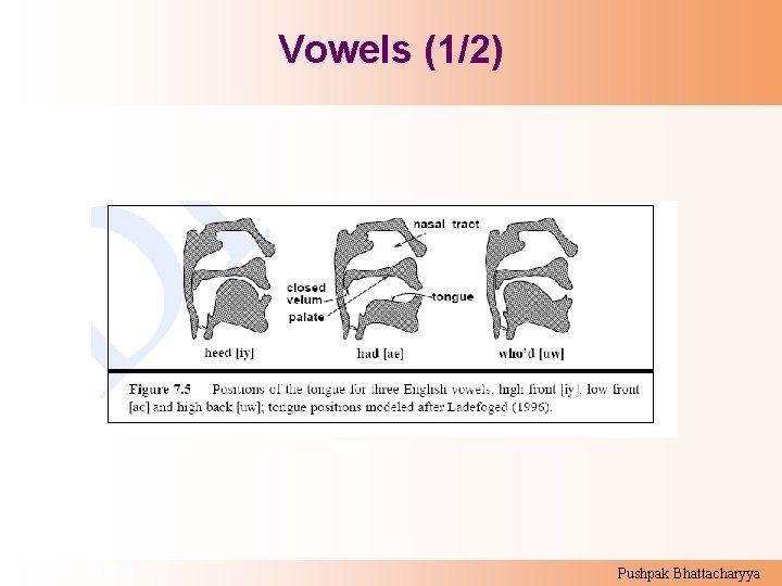 Vowels (1/2) Pushpak Bhattacharyya 