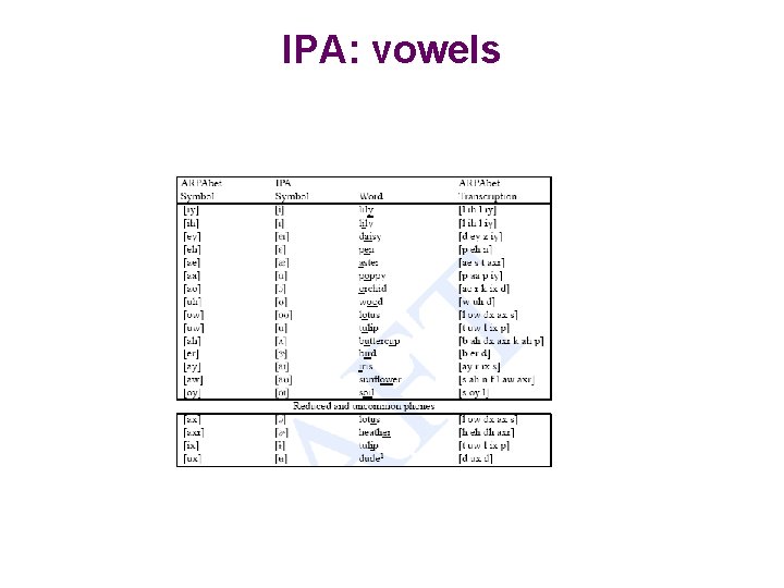IPA: vowels 
