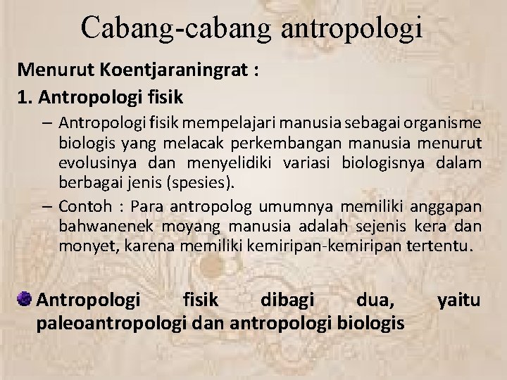 Cabang-cabang antropologi Menurut Koentjaraningrat : 1. Antropologi fisik – Antropologi fisik mempelajari manusia sebagai