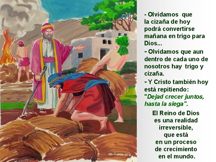 - Olvidamos que la cizaña de hoy podrá convertirse mañana en trigo para Dios.