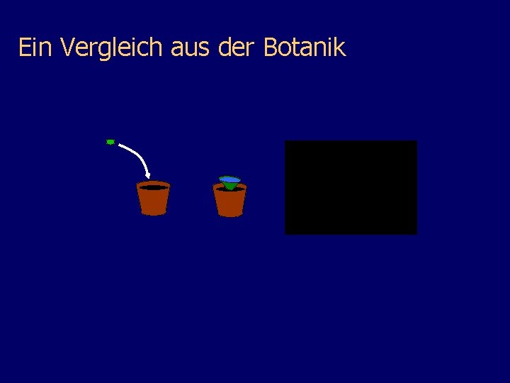 Ein Vergleich aus der Botanik 