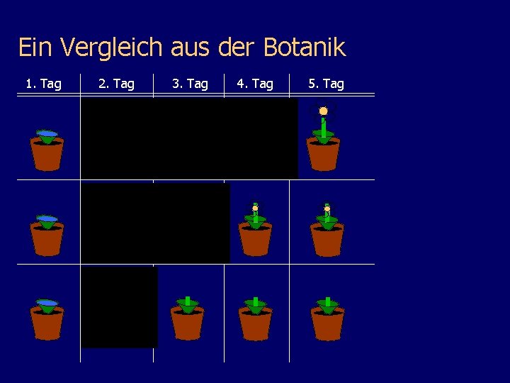 Ein Vergleich aus der Botanik 1. Tag 2. Tag 3. Tag 4. Tag 5.