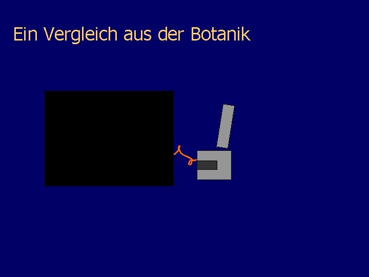 Ein Vergleich aus der Botanik 
