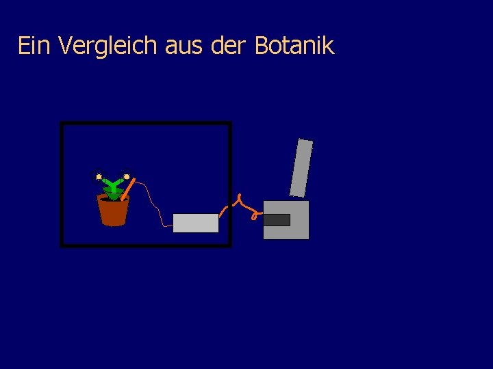 Ein Vergleich aus der Botanik 