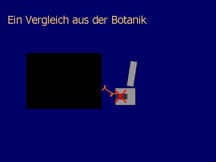 Ein Vergleich aus der Botanik 