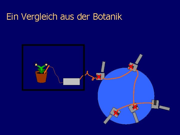 Ein Vergleich aus der Botanik 