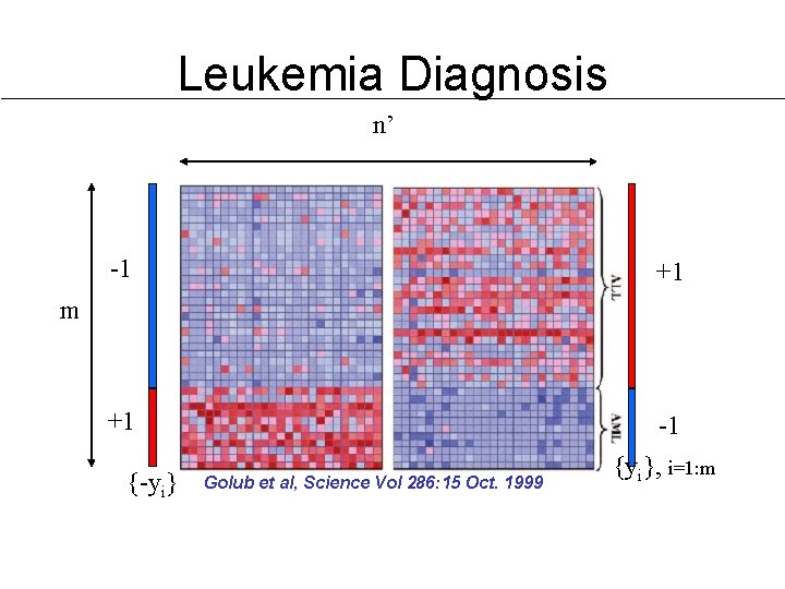 Leukemia Diagnosis n’ -1 +1 +1 -1 m {-yi} Golub et al, Science Vol