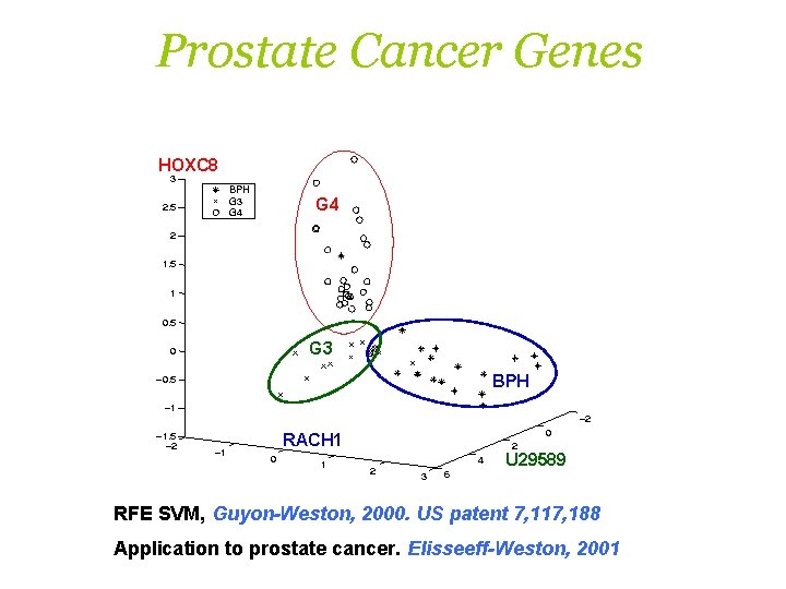 Prostate Cancer Genes HOXC 8 G 4 G 3 BPH RACH 1 U 29589