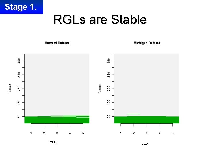 Stage 1. RGLs are Stable RGLs 