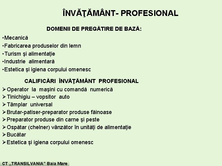  ÎNVĂŢĂM NT- PROFESIONAL DOMENII DE PREGĂTIRE DE BAZĂ: • Mecanică • Fabricarea produselor