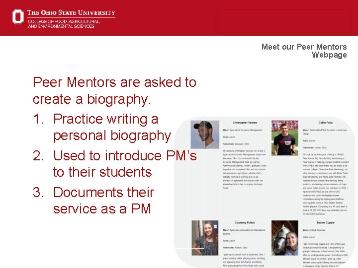 Meet our Peer Mentors Webpage Peer Mentors are asked to create a biography. 1.