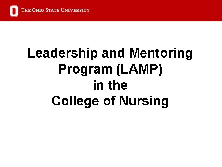 Leadership and Mentoring Program (LAMP) in the College of Nursing 