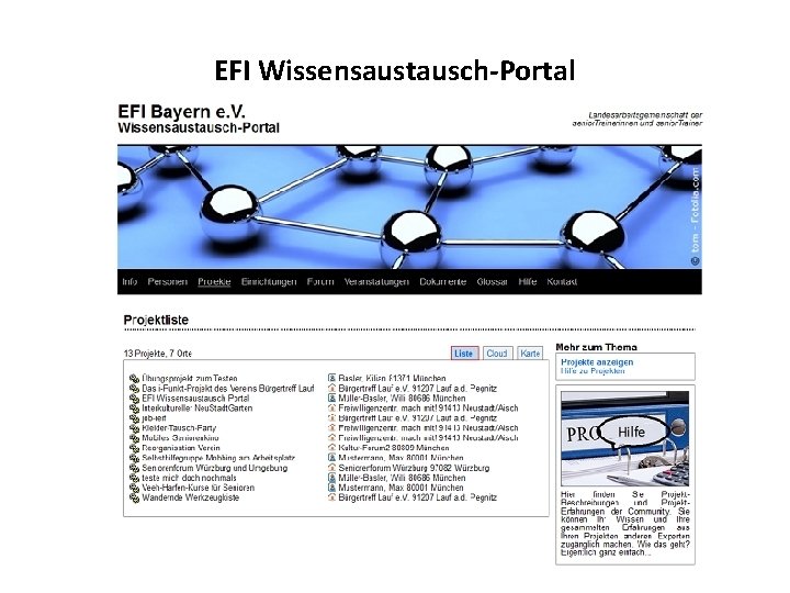 EFI Wissensaustausch-Portal Wie der Erfahrungsaustausch zwischen senior. Trainern durch ein Internet Portal gefördert werden