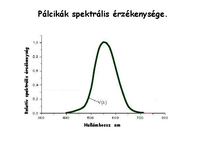 Relatív spektrális érzékenység Pálcikák spektrális érzékenysége. Hullámhossz nm Relatív spektrális érzékenység Pálcikák spektrális érzékenysége. Hullámhossz nm