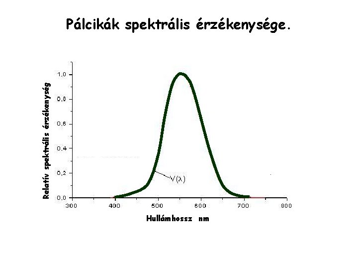 Relatív spektrális érzékenység Pálcikák spektrális érzékenysége. Hullámhossz nm 