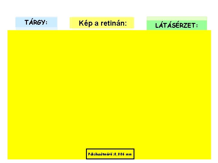 TÁRGY: Kép a retinán: Pálcikaátmérő: 0, 006 mm LÁTÁSÉRZET: TÁRGY: Kép a retinán: Pálcikaátmérő: 0, 006 mm LÁTÁSÉRZET: