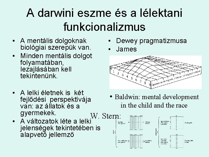 A darwini eszme és a lélektani funkcionalizmus • A mentális dolgoknak biológiai szerepük van.