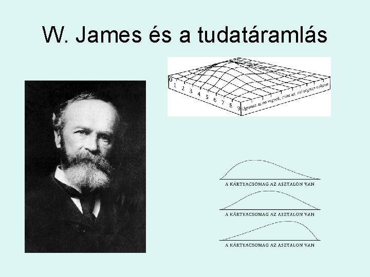 W. James és a tudatáramlás 