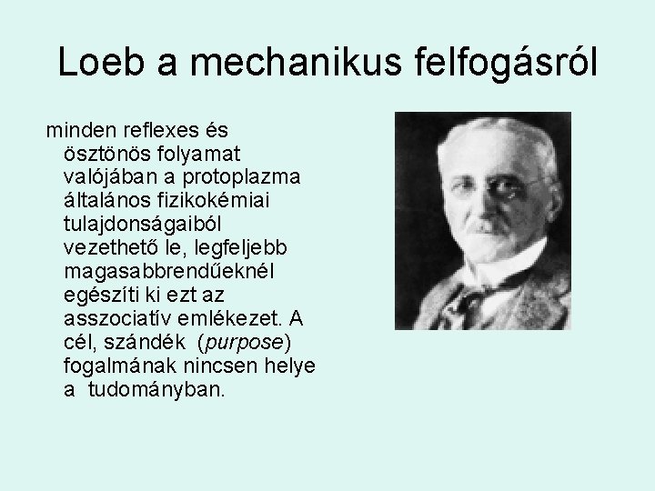 Loeb a mechanikus felfogásról minden reflexes és ösztönös folyamat valójában a protoplazma általános fizikokémiai