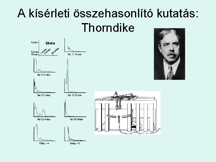 A kísérleti összehasonlító kutatás: Thorndike 
