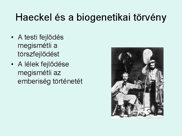 Haeckel és a biogenetikai törvény • A testi fejlődés megismétli a törszfejlődést • A