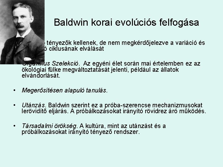 Baldwin korai evolúciós felfogása • Gyorsító tényezők kellenek, de nem megkérdőjelezve a variáció és