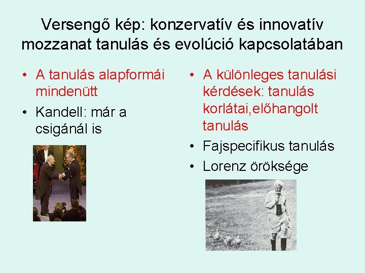 Versengő kép: konzervatív és innovatív mozzanat tanulás és evolúció kapcsolatában • A tanulás alapformái