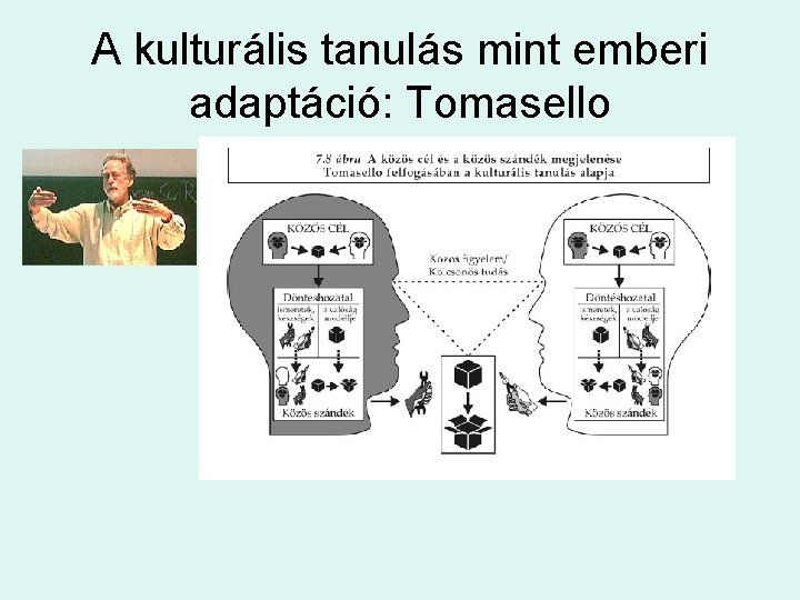 A kulturális tanulás mint emberi adaptáció: Tomasello 