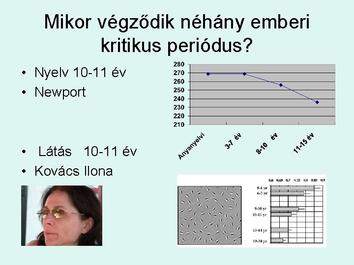 Mikor végződik néhány emberi kritikus periódus? • Nyelv 10 -11 év • Newport •