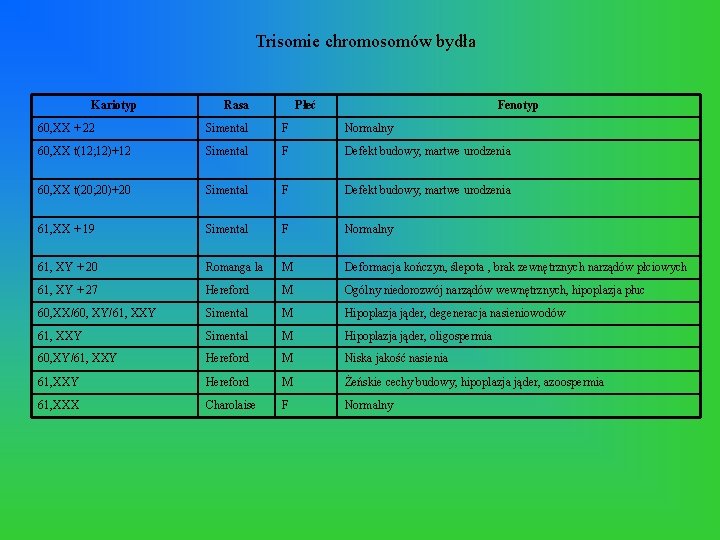 Trisomie chromosomów bydła Kariotyp Rasa Płeć Fenotyp 60, XX + 22 Simental F Normalny