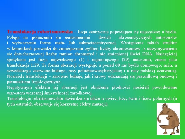 Translokacja robertsonowska – fuzja centryczna pojawiająca się najczęściej u bydła. Polega na połączeniu się