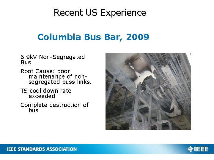 Recent US Experience Columbia Bus Bar, 2009 6. 9 k. V Non-Segregated Bus Root