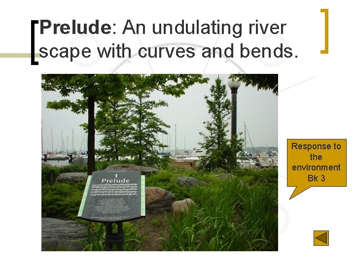 Prelude: An undulating river scape with curves and bends. n Response to the environment