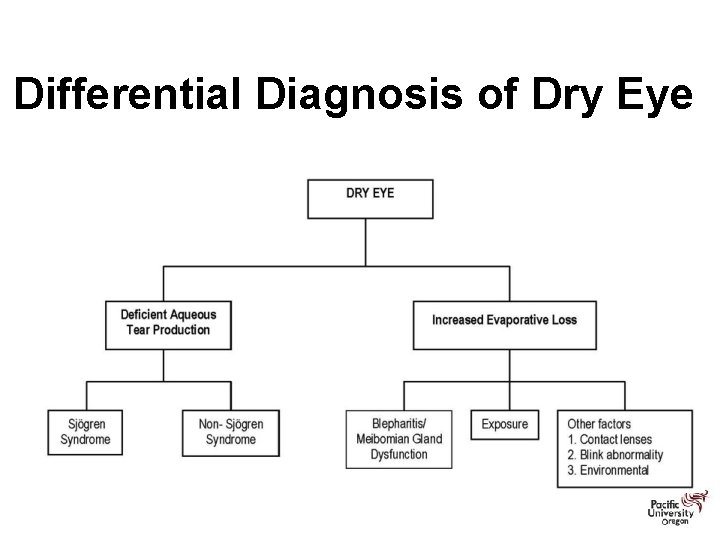 Differential Diagnosis of Dry Eye 